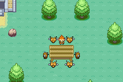 PokeLand 0 Episode 1 Treeway